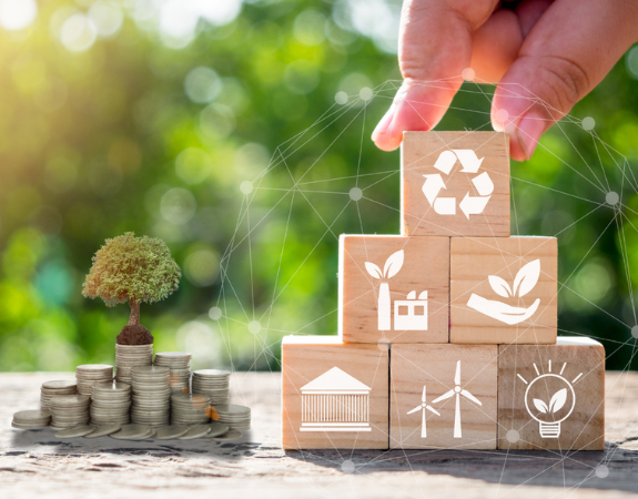 Diploma in Investment Foundations, ESG & Regulation (DIFER)